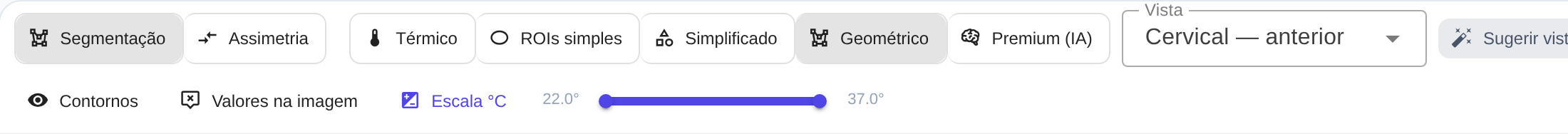 Seletor de camadas: Térmico, ROIs simples, Simplificado, Geométrico e Premium (IA).